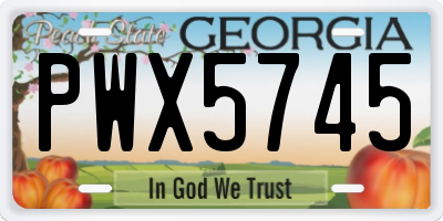 GA license plate PWX5745