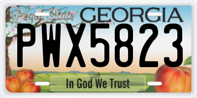 GA license plate PWX5823