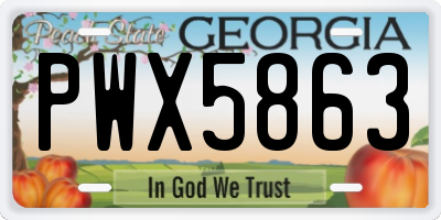 GA license plate PWX5863