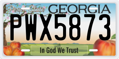 GA license plate PWX5873