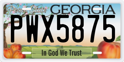GA license plate PWX5875