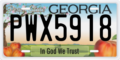 GA license plate PWX5918