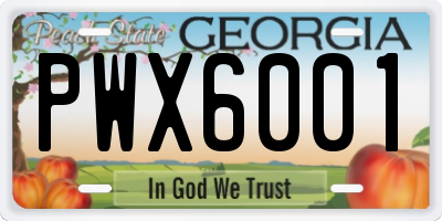 GA license plate PWX6001