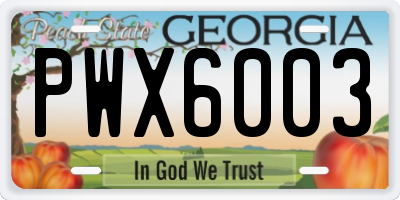 GA license plate PWX6003