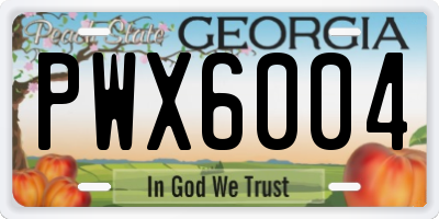 GA license plate PWX6004
