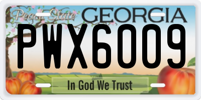 GA license plate PWX6009
