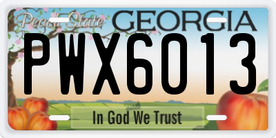 GA license plate PWX6013