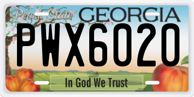 GA license plate PWX6020