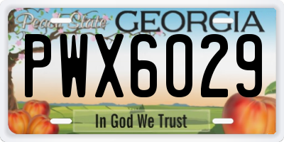GA license plate PWX6029