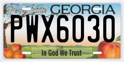 GA license plate PWX6030