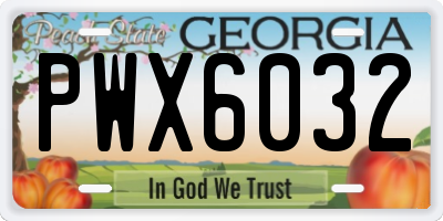 GA license plate PWX6032