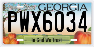 GA license plate PWX6034