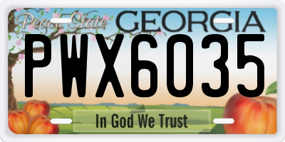 GA license plate PWX6035