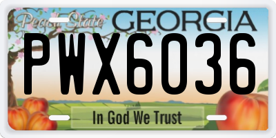 GA license plate PWX6036