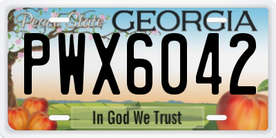 GA license plate PWX6042