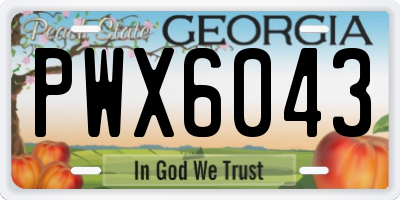 GA license plate PWX6043