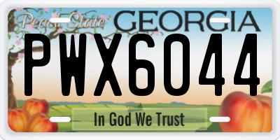 GA license plate PWX6044