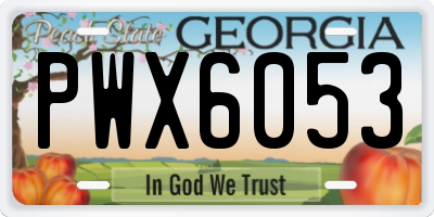 GA license plate PWX6053