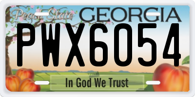 GA license plate PWX6054