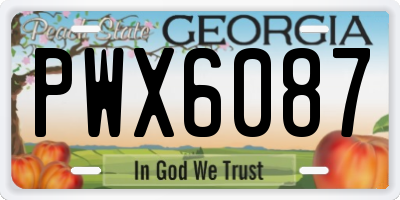 GA license plate PWX6087