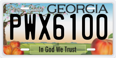 GA license plate PWX6100