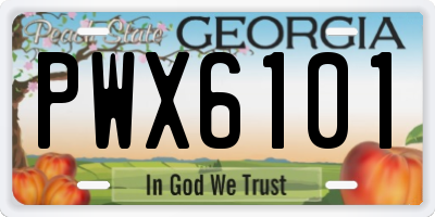 GA license plate PWX6101