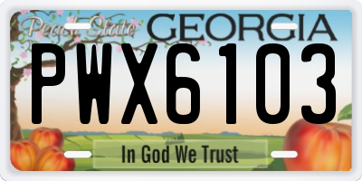GA license plate PWX6103