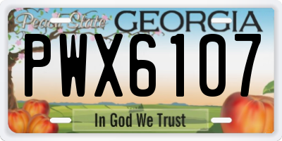 GA license plate PWX6107