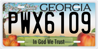 GA license plate PWX6109