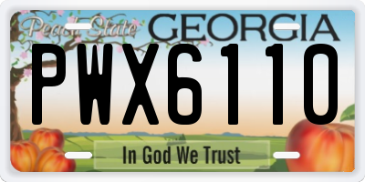 GA license plate PWX6110