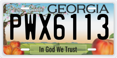 GA license plate PWX6113