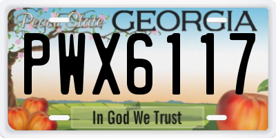 GA license plate PWX6117