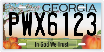 GA license plate PWX6123