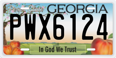 GA license plate PWX6124