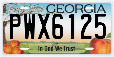 GA license plate PWX6125