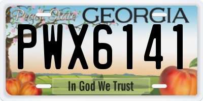 GA license plate PWX6141