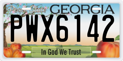GA license plate PWX6142