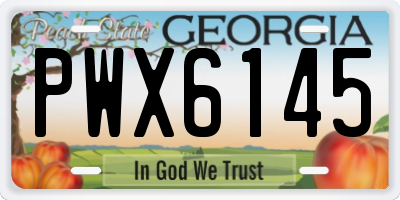GA license plate PWX6145