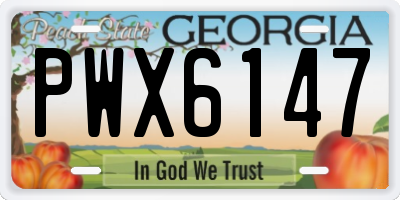 GA license plate PWX6147