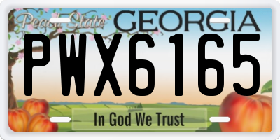 GA license plate PWX6165