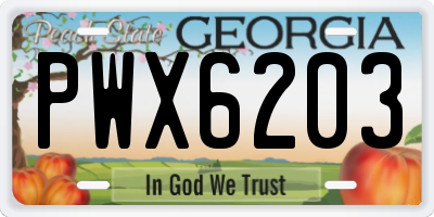 GA license plate PWX6203