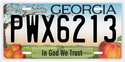 GA license plate PWX6213