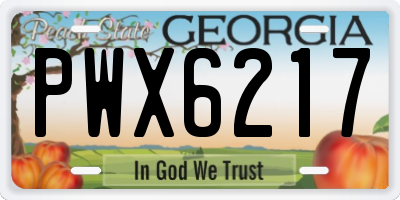 GA license plate PWX6217