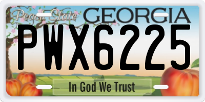 GA license plate PWX6225