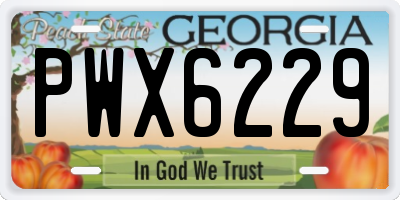 GA license plate PWX6229
