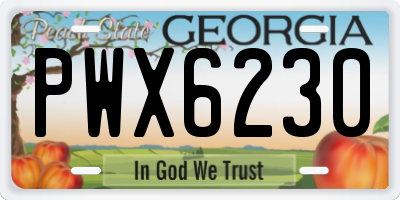 GA license plate PWX6230