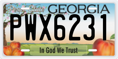 GA license plate PWX6231