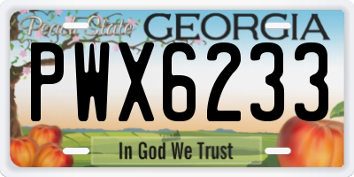 GA license plate PWX6233