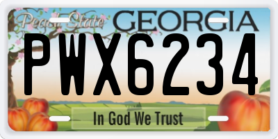 GA license plate PWX6234