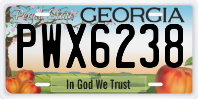 GA license plate PWX6238